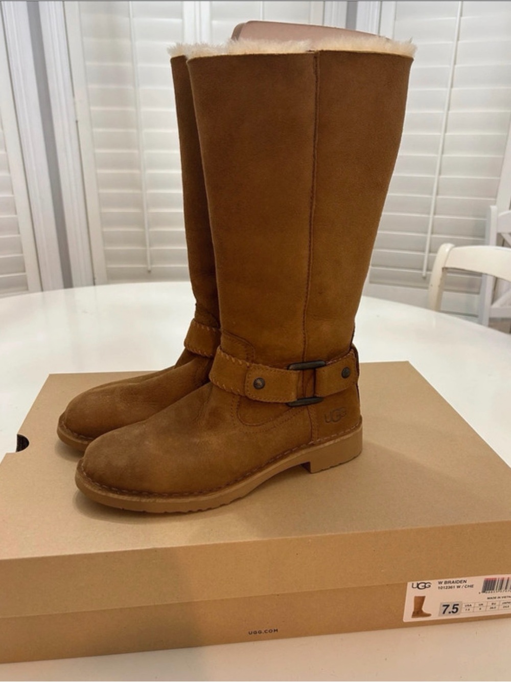 UGG Women's Chestnut Suede Tall Harness Boots